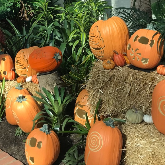 Meet your Posher, Loretta - Picture 1 of 1